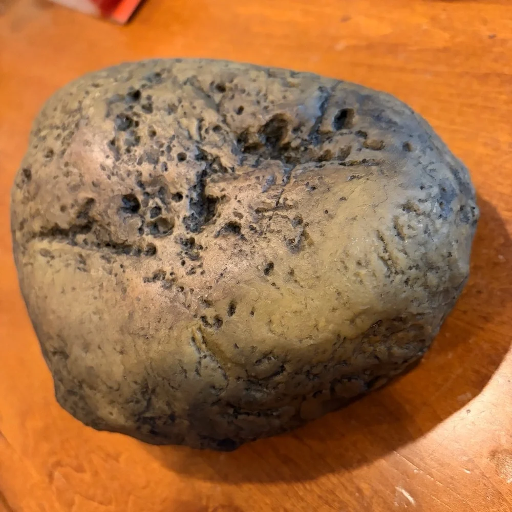 NWOP Exo Terra Canopy Cave Reptile Habitat Rock